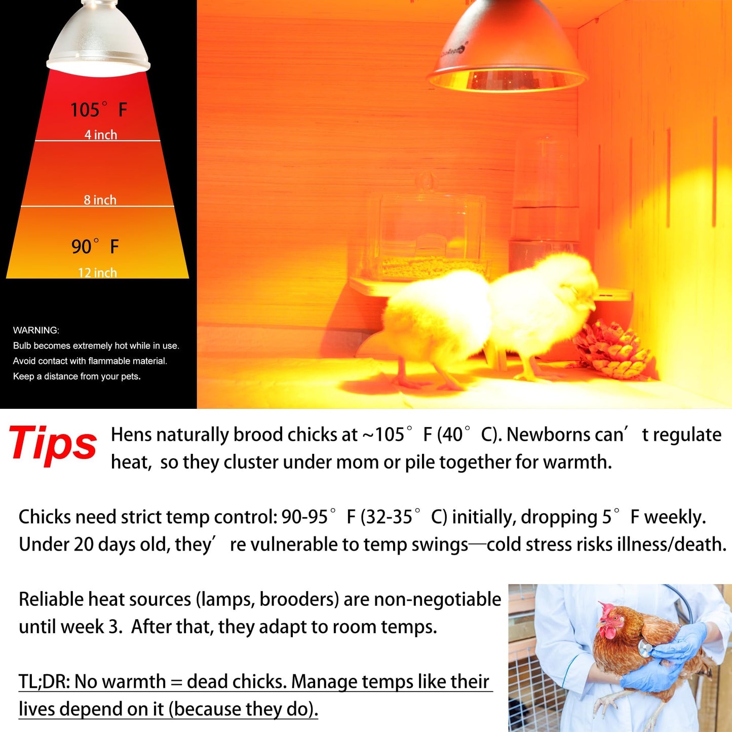 Heat Lamp for Chickens Coop Tiny Chick Brooder, Infrared Flood Light Red Bulbs Replaceable E26 Base 50 Watt Chick Heater for Reptile Pets Duckling Poultry Livestock