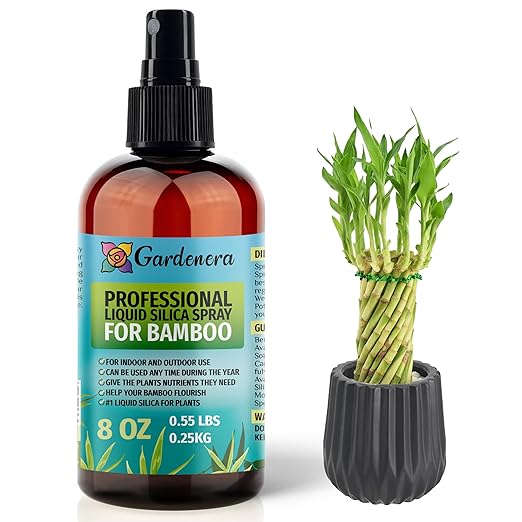 𝐒𝐔𝐏𝐄𝐑𝐈𝐎𝐑 Liquid Silica Boost Fertilizer and Supplement Spray for Bamboo Plants – Pre-Mixed, Ready-to-Use Liquid Silicon Plant Superfood Mist for Indoor & Outdoor Plants – 8oz