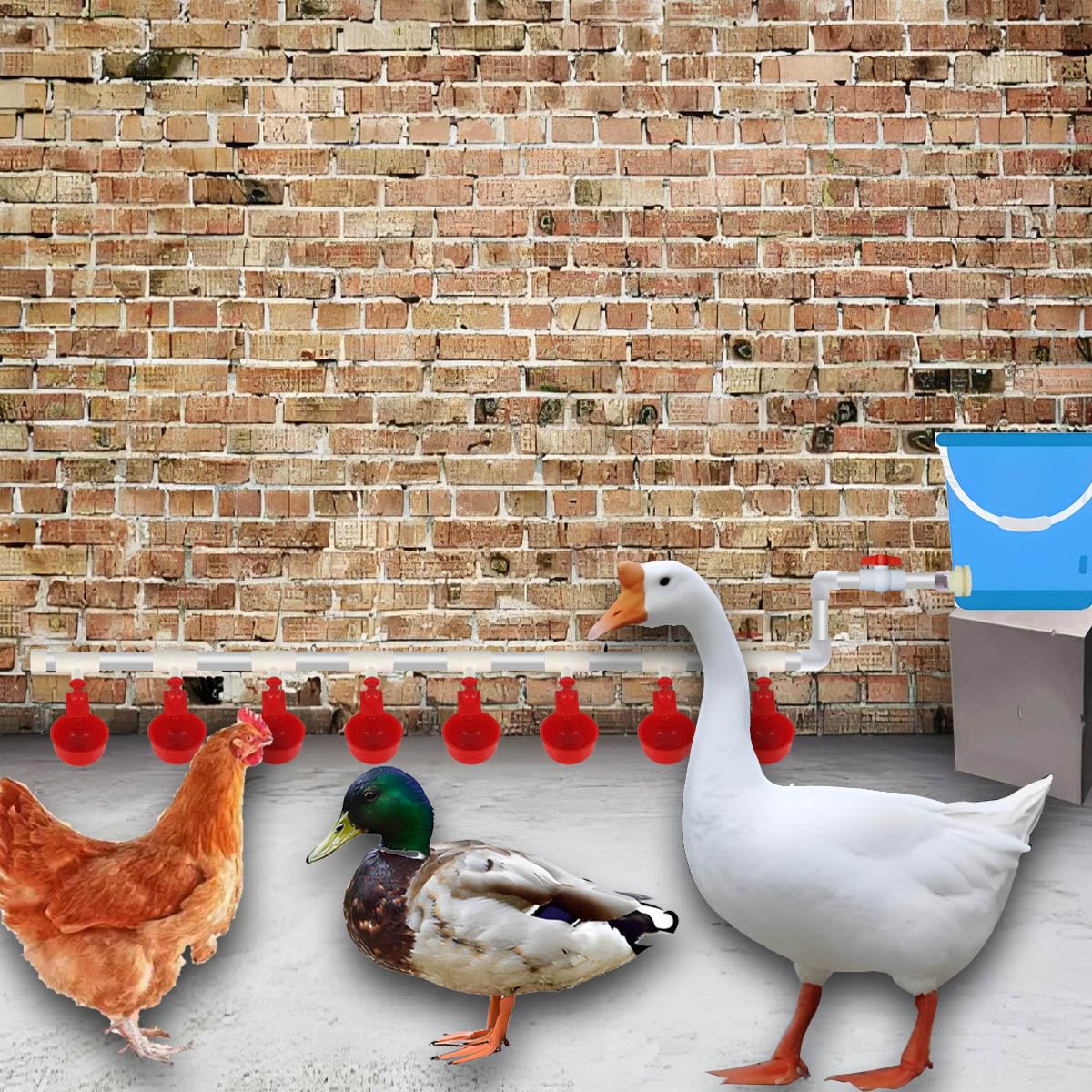 WODERIC Automatic Chicken Water Cups,Chicken Water Feeder,Complete Set Pipeline Automatic Chicken Waterer System for Chick Duck Quail