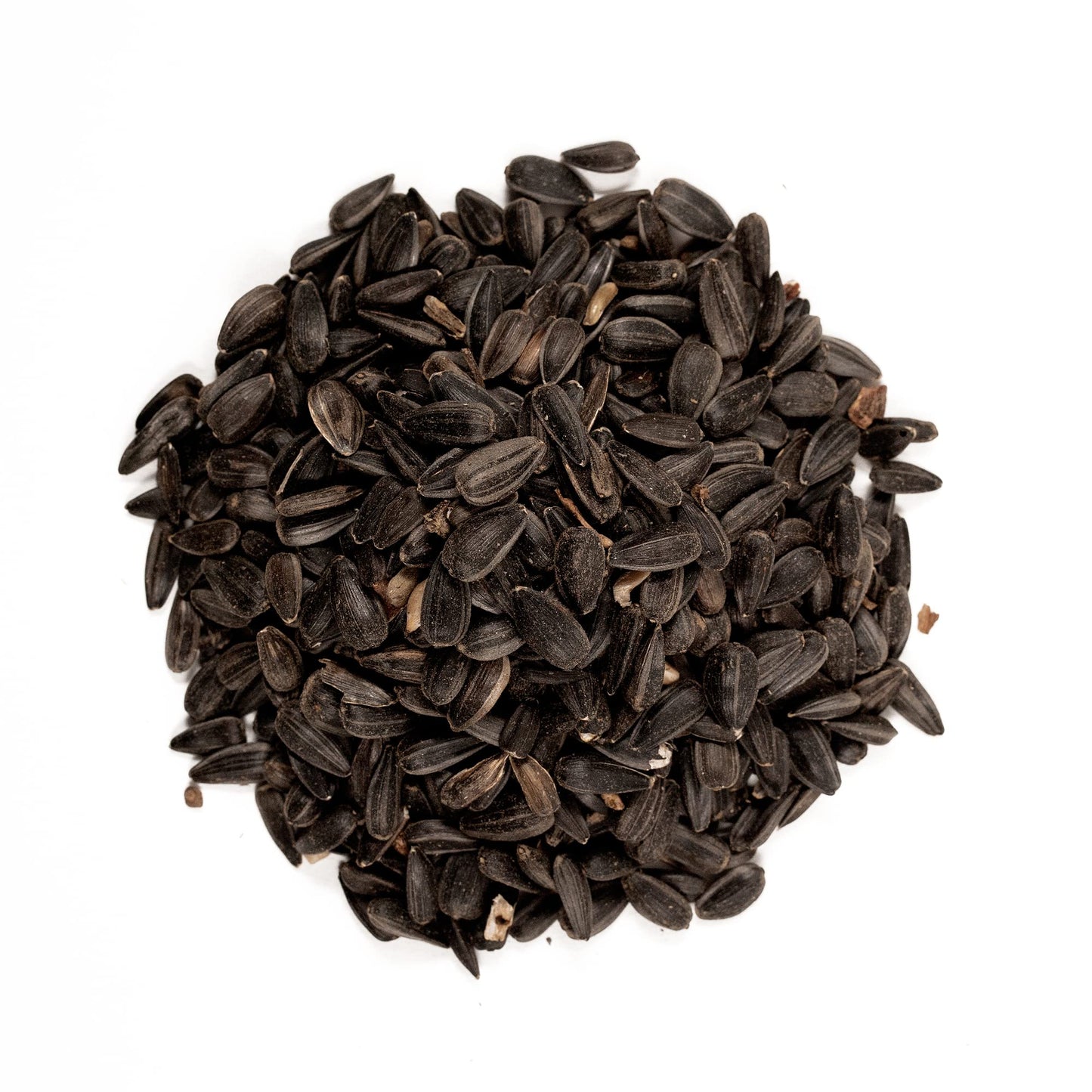 Shafer Seed 51041 40-Pound Bag, Black Oil Sunflower Wild Bird Food