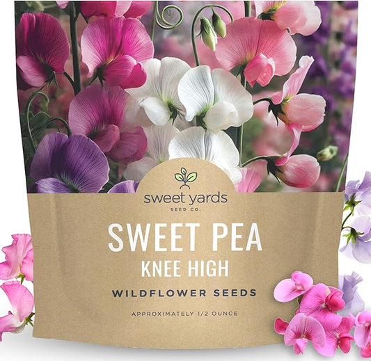 Sweet Pea Knee High - Large 1/2 Ounce Packet - 150 Flower Seeds for Planting - Lathyrus odoratus