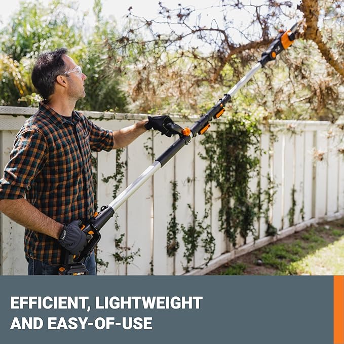 Worx Nitro 20V 8 '' cordless pole chainsaw 2.0 Ah battery and charger included WG349