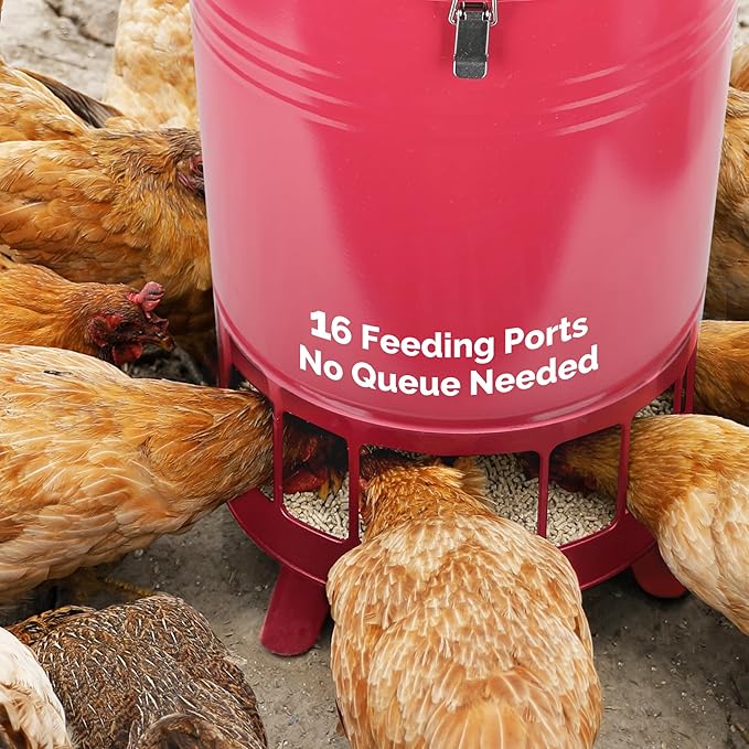 Solution4Patio 50LB No-Waste Chicken Feeder, Large Capacity Gravity Dispenser with Spill Control & 16 Feeding Ports Poultry Feeder for Outdoors & Hen Coop (Red)