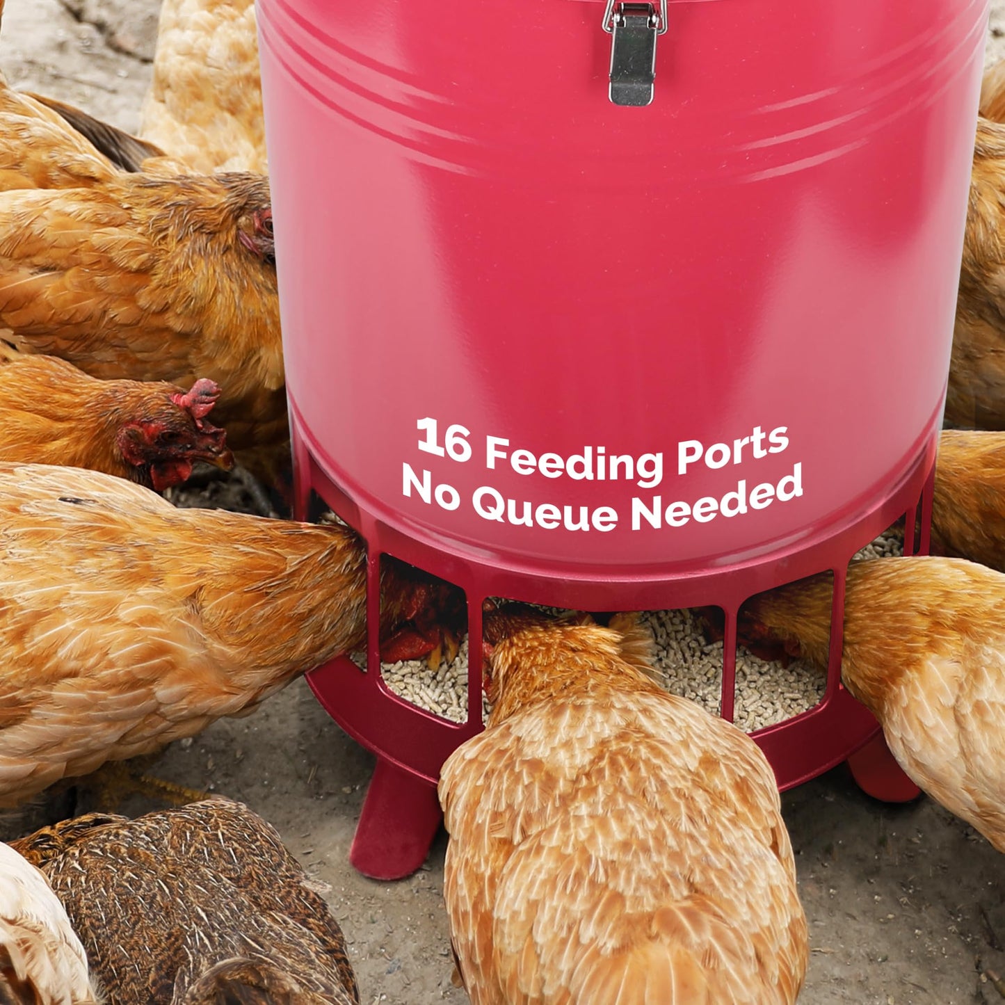 Solution4Patio 50LB No-Waste Chicken Feeder, Large Capacity Gravity Dispenser with Spill Control & 16 Feeding Ports Poultry Feeder for Outdoors & Hen Coop (Red)