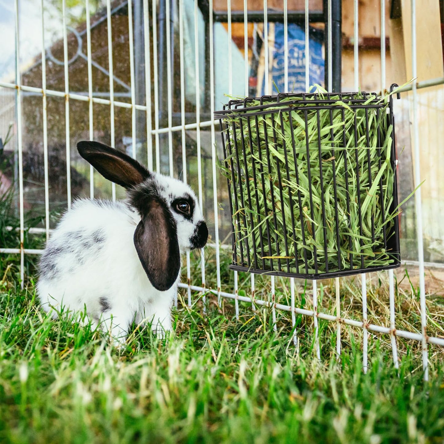 ANDOUNIER New Upgraded Rabbit Hay Feeder,Comes with Lid to Prevent Critters from Jumping in,Metal Frame Hay Rack with Adjustable Hook,for Rabbits Guinea Pigs Bunny Chinchillas Small Animals (Black)