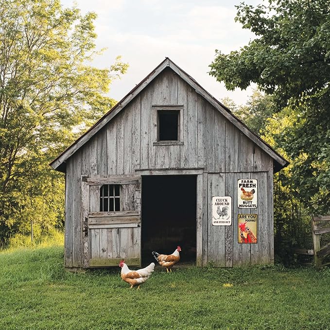 Chicken Coop Signs Funny Metal Signs Outdoor Chicken Decor Farm Gifts Rooster Yard Decor Vintage Kitchen Accessories Tin Sign Chicken Decorations For Home Farm Fresh Butt Nuggets Sign 8×12 Inch
