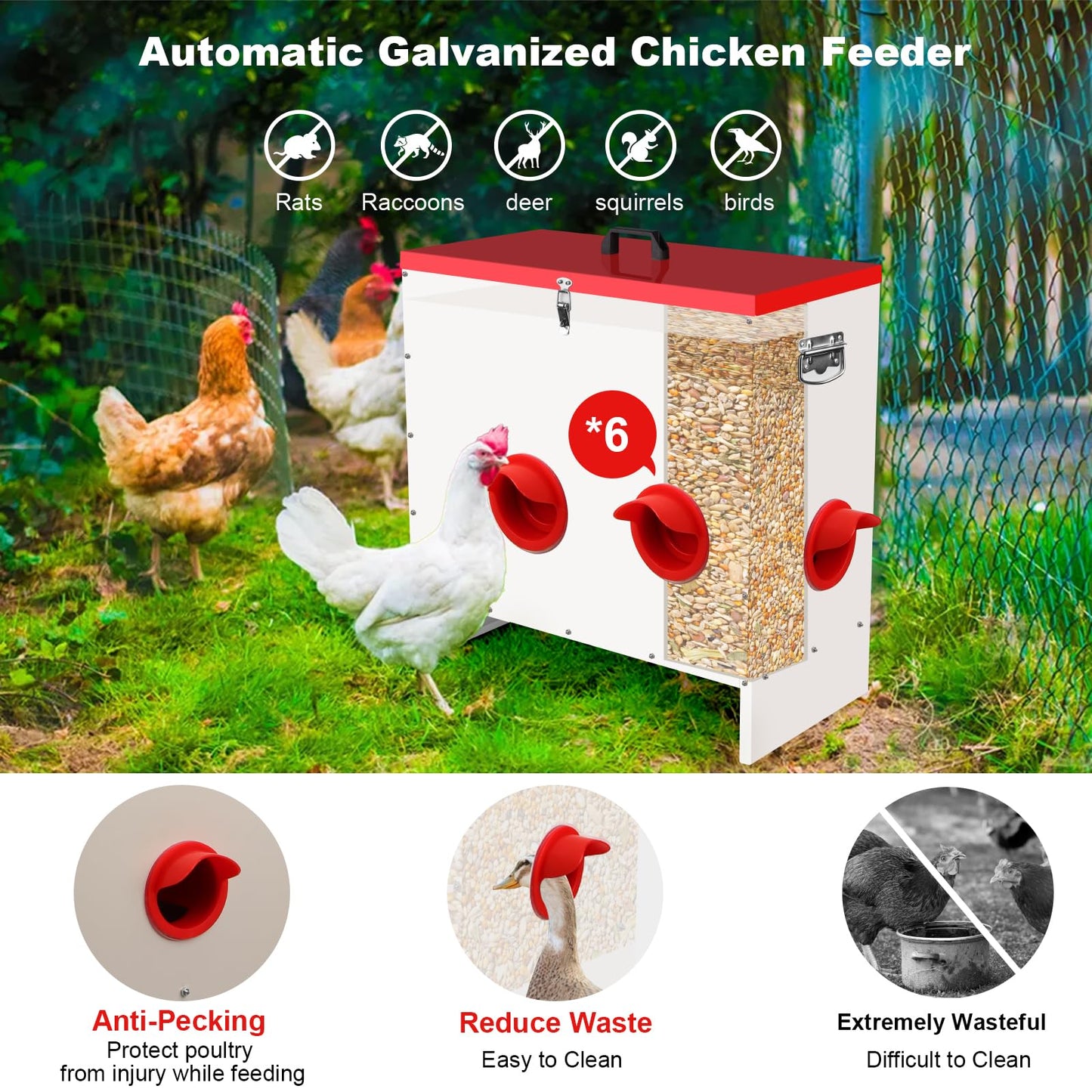 Qdreclod Professional Automatic Chicken Feeder (50LB) - 6 Port Metal Chicken Feeder，Large Capacity Automatic Poultry Feeder System, No Waste Poultry Feeder with Locking Lid for Chickens, Ducks&Poultry