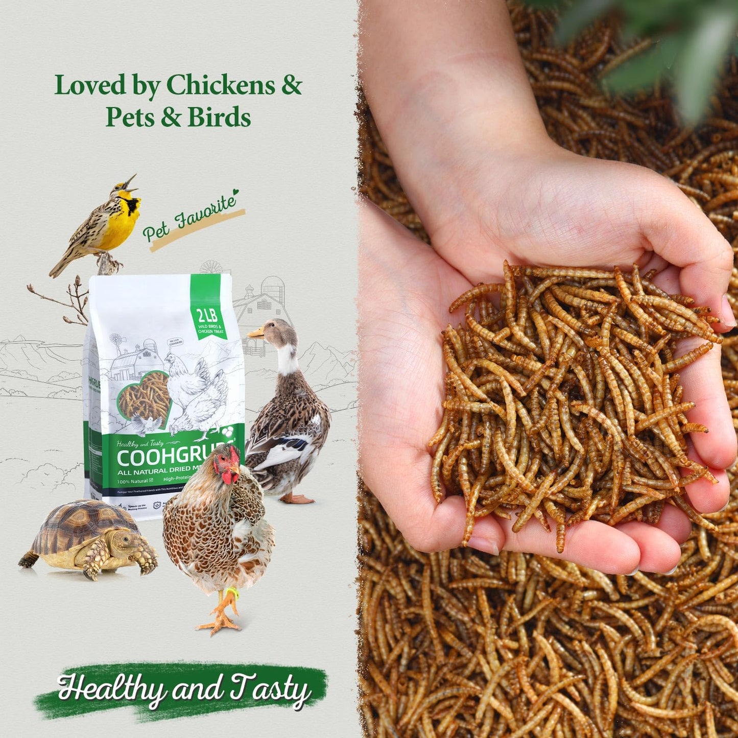 COOHGRUBS Dried Mealworms for Birds, Non-GMO High Protein Chicken Treats & Poultry Feed, 2 lb Bag