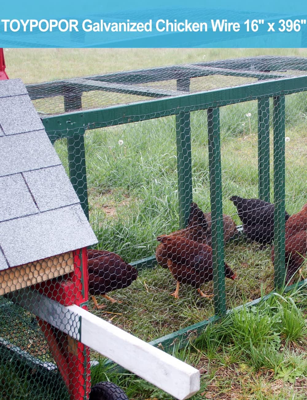TOYPOPOR Chicken Wire 16'' x 396''(40cm x 10m), Outdoor Anti-Rust Hexagonal Galvanized Chicken Wire Mesh Fencing to Protect Gardening Plants Vegetables Flowers Fruits From Dogs Rabbits Squirrels, 32ft