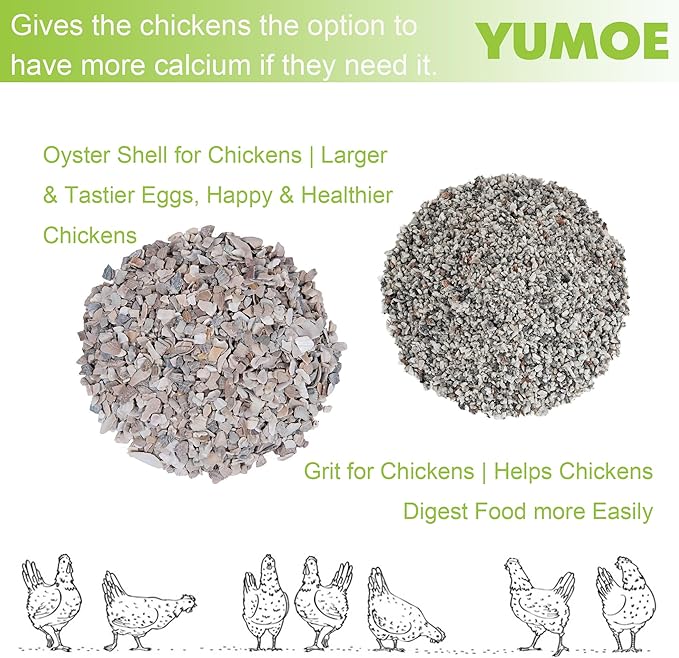 Metal Chicken Feeder Oyster Shell and Grit Dispensers for Chicken Coop Accessories