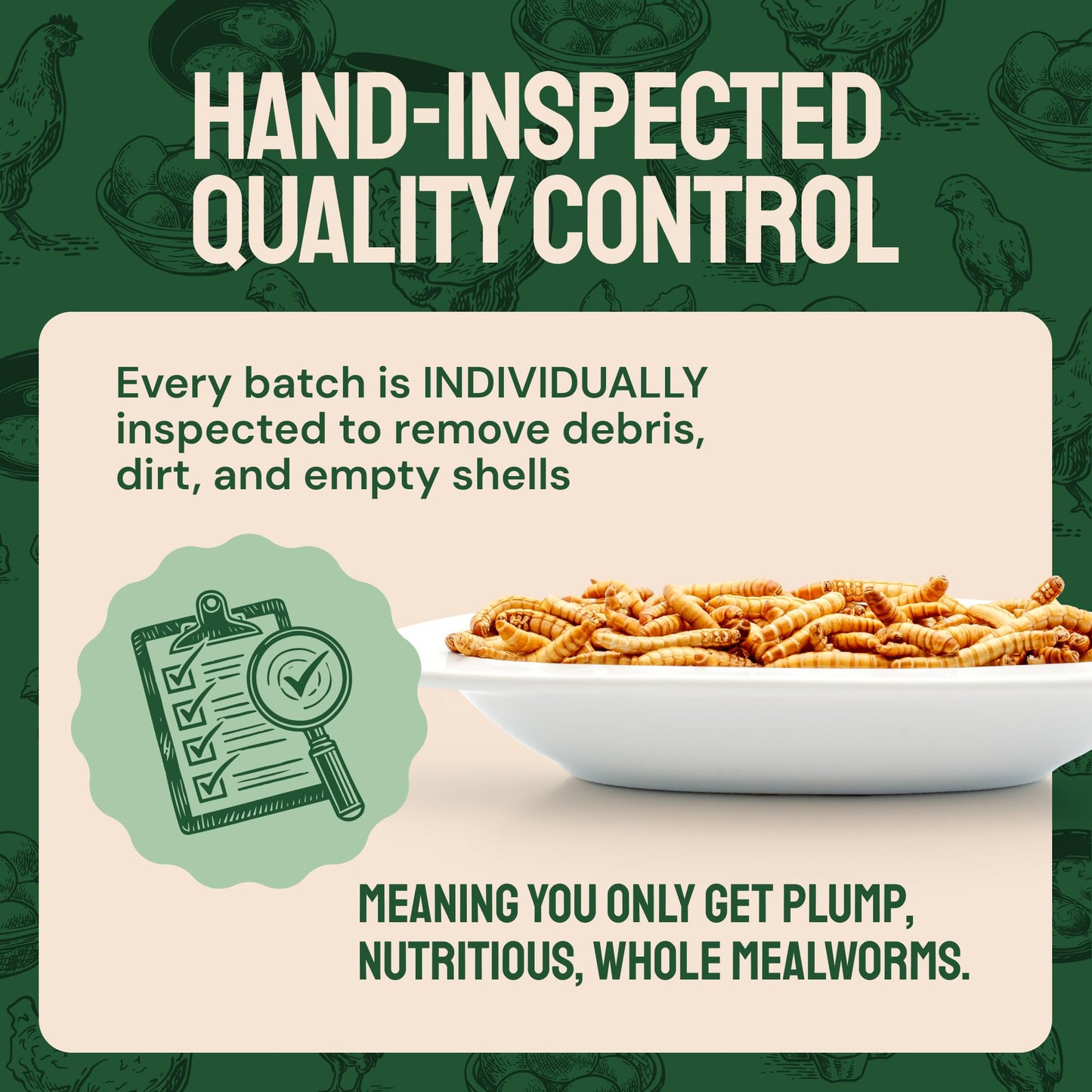Hatortempt Chicken Feed Dried Mealworms - 5 Lb, Non-GMO & Organic - High-Protein Mealworms for Wild Birds & Ducks, Chicken Treats & Bird Food