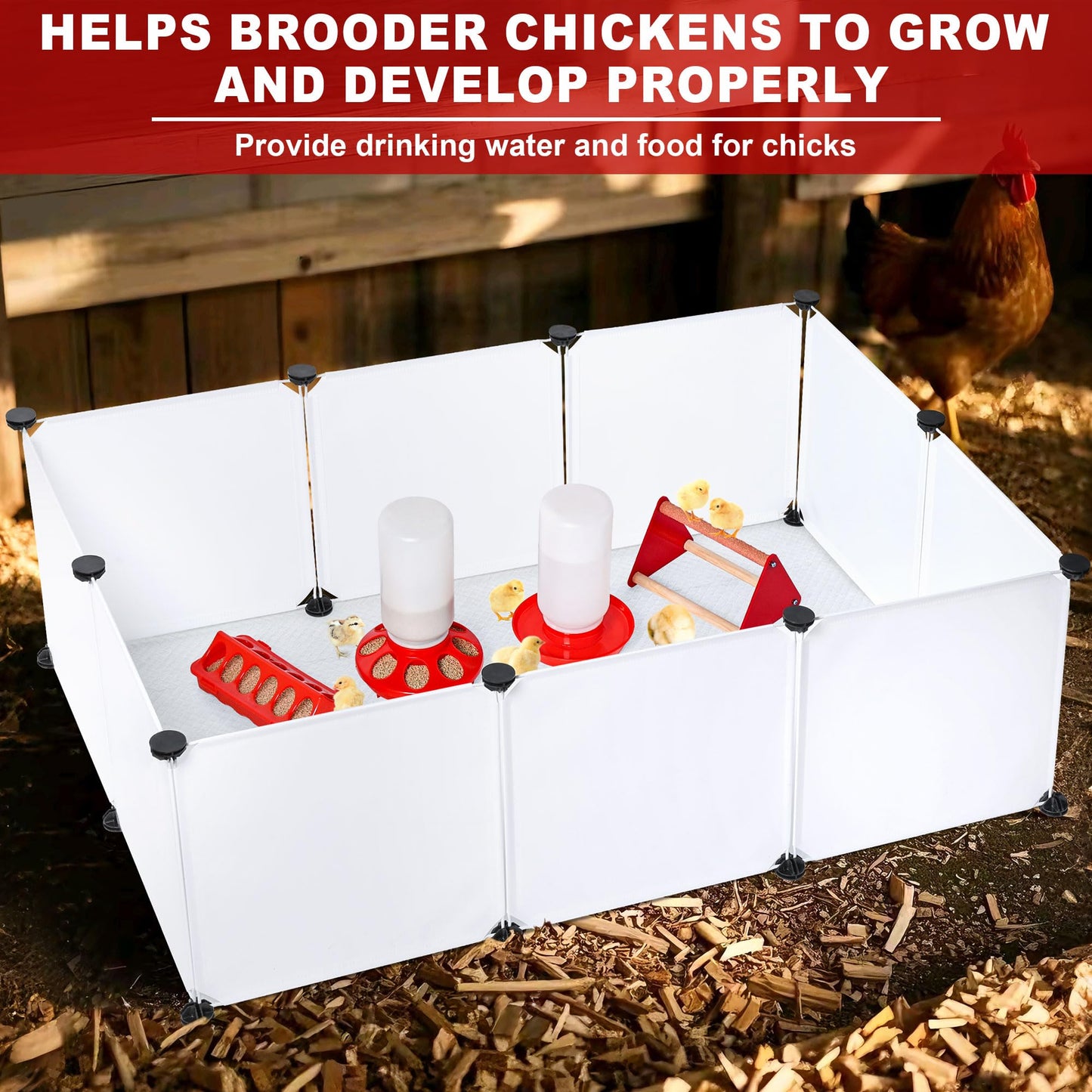 Chicken Brooder Box for Chicks, Brooder Box with Feeder and Waterer, Chick Starter Kit with Chick Perch for Small Poultry Ducks Quail