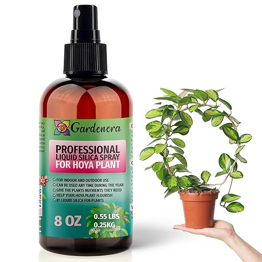 𝐒𝐔𝐏𝐄𝐑𝐈𝐎𝐑 Liquid Silica Boost Fertilizer and Supplement Spray for Hoya Plants – Pre-Mixed, Ready-to-Use Liquid Silicon Plant Superfood Mist for Indoor & Outdoor Plants – 8oz