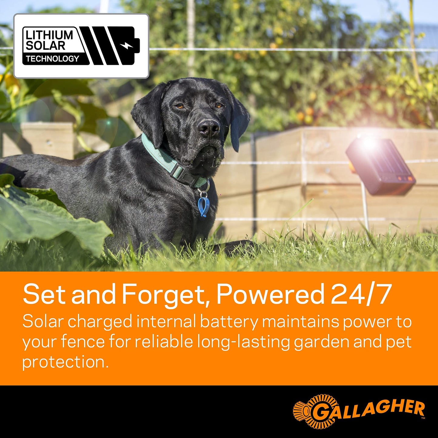 Gallagher S6 Solar Electric Fence Charger | Solar Fence Energizer for Gardens, Chickens, Goats, and Pets | Solar-Powered Fence Charger with Lithium Battery | Mounts Directly to Grounding Rod