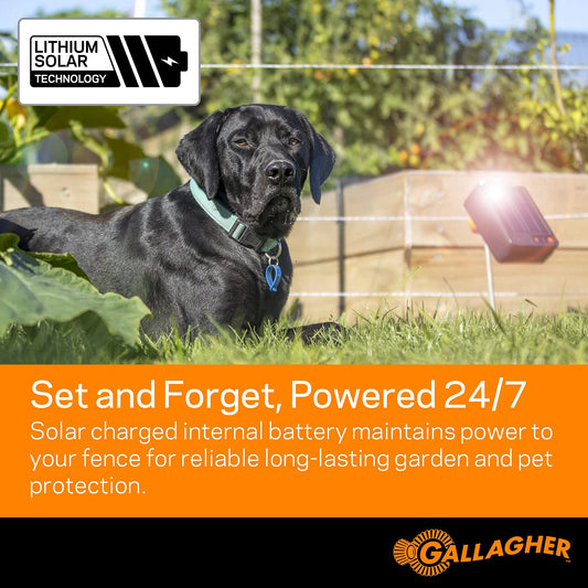 Gallagher S6 Solar Electric Fence Charger | Solar Fence Energizer for Gardens, Chickens, Goats, and Pets | Solar-Powered Fence Charger with Lithium Battery | Mounts Directly to Grounding Rod