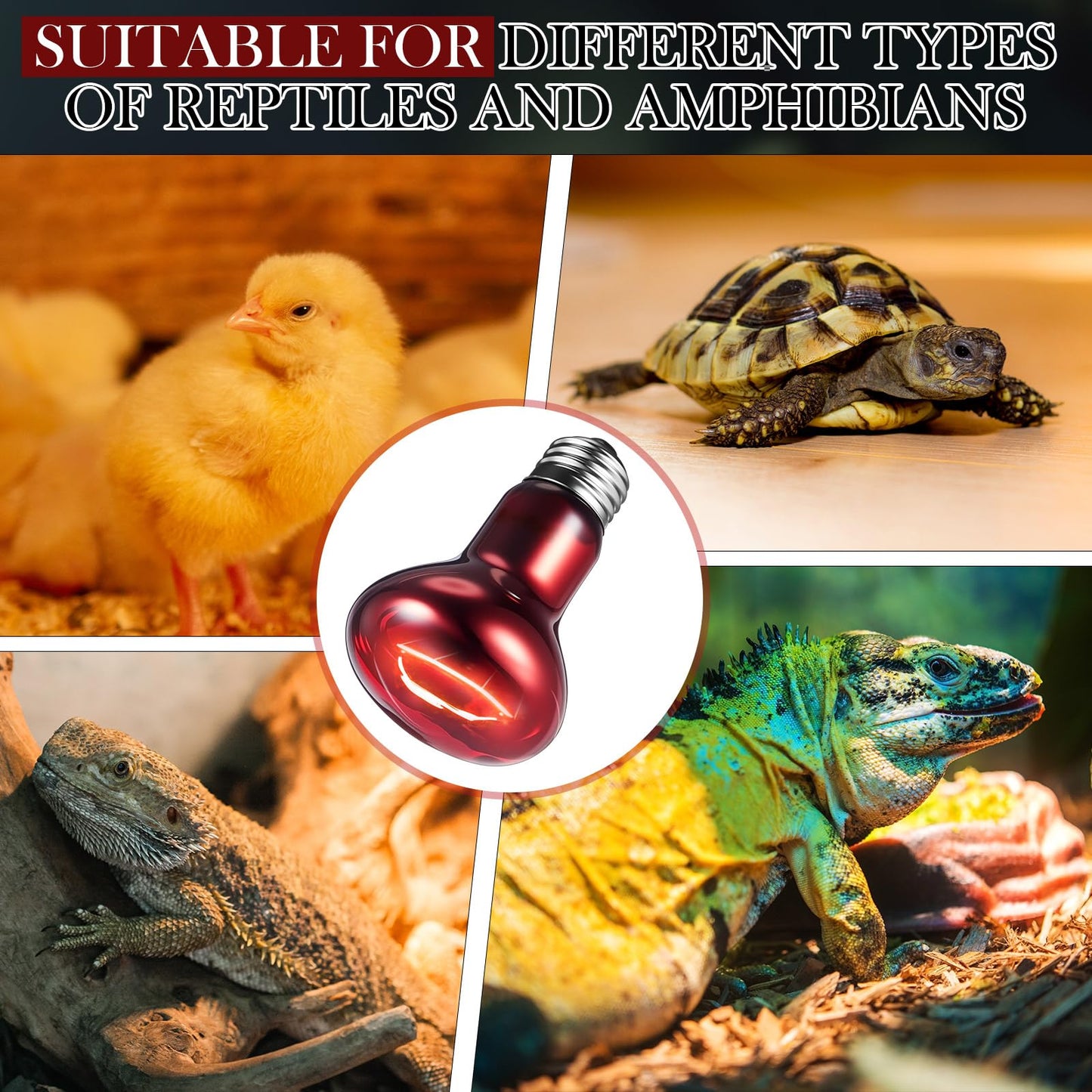 VIHOSE 6 Pack 75 W Reptile Heat Bulbs Red Heat Lamp Bulb Infrared Lamp Red Basking Light Bulbs for Reptiles, Bearded Dragon, Lizard, Tortoise, Chickens, Leopard Gecko, Amphibian, Pets