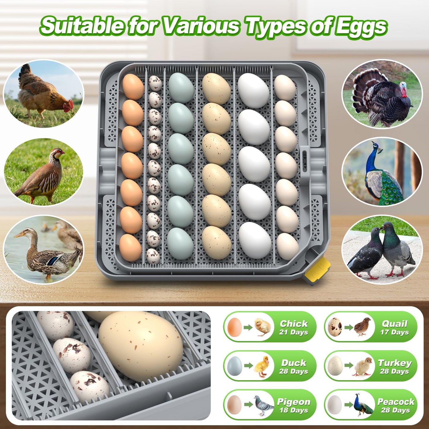 Egg Incubator for Hatching 48-132 Chicken/Quail/Turkey Eggs, 360° View Poultry Incubators with Automatic Egg Turning/Humidity Control&Alarm/Auto Water Adding/Adjustable Tray, for Beginner/Farm/Home
