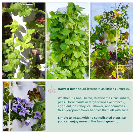 Hydroponic Growing System Kit, Vertical Hydroponic Tower with Trellis, Indoor & Outdoor Herb Garden, Vegetable Tower with 40 Planting Pods, Automatic Timer, Ideal for Gardeners & Beginners