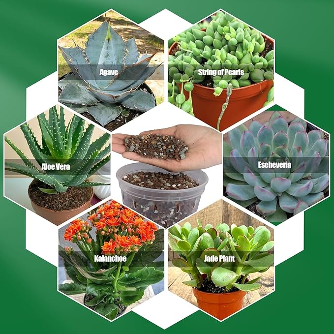 Succulent & Cactus Soil Potting Mix 2qt, Natural Organic Potting Mix for Cactus, Succulent, Palm, and Citrus Grown in Containers Indoors and Outdoors