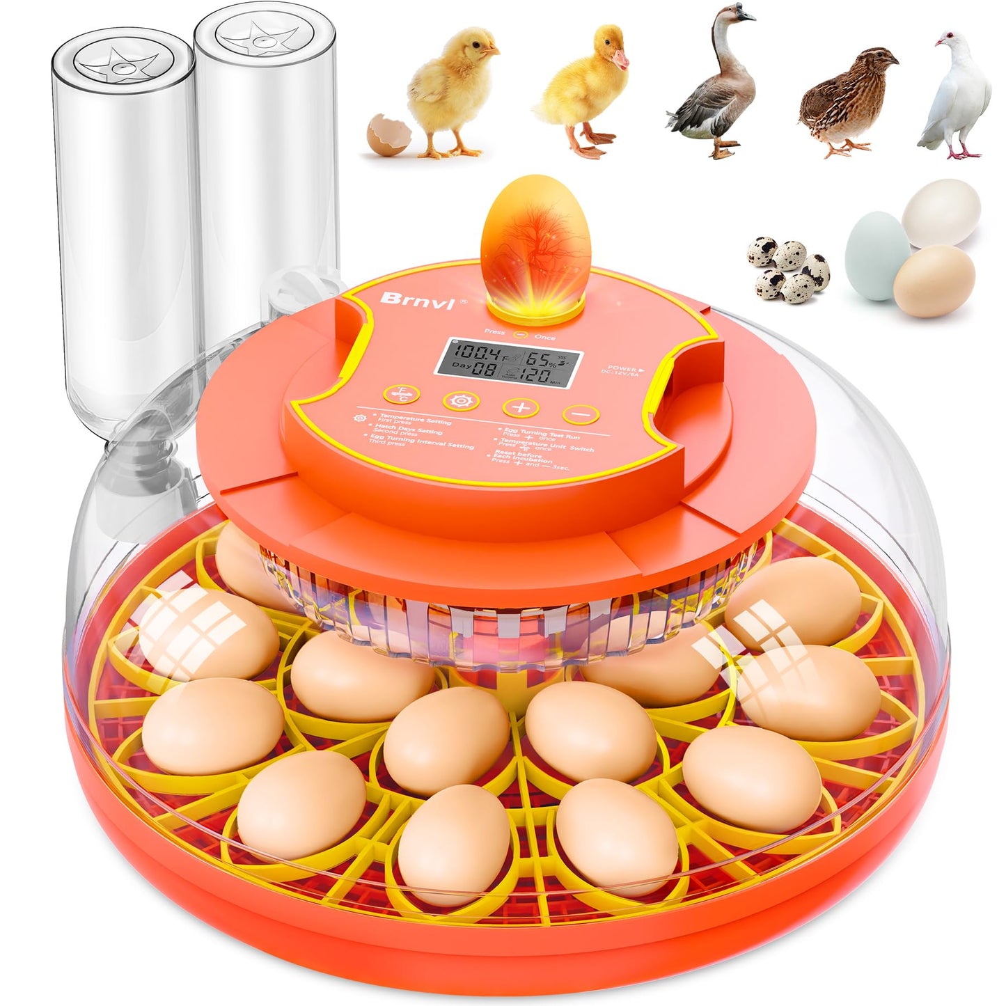 18 Egg Incubator with Automatic Egg Turning, Digital Temperature Humidity Control, Incubator for Hatching Eggs, 360° View Eg-g Candler, Chicken, Quail, Duck, Goose, Turkey Incubato-r for Home & Farm