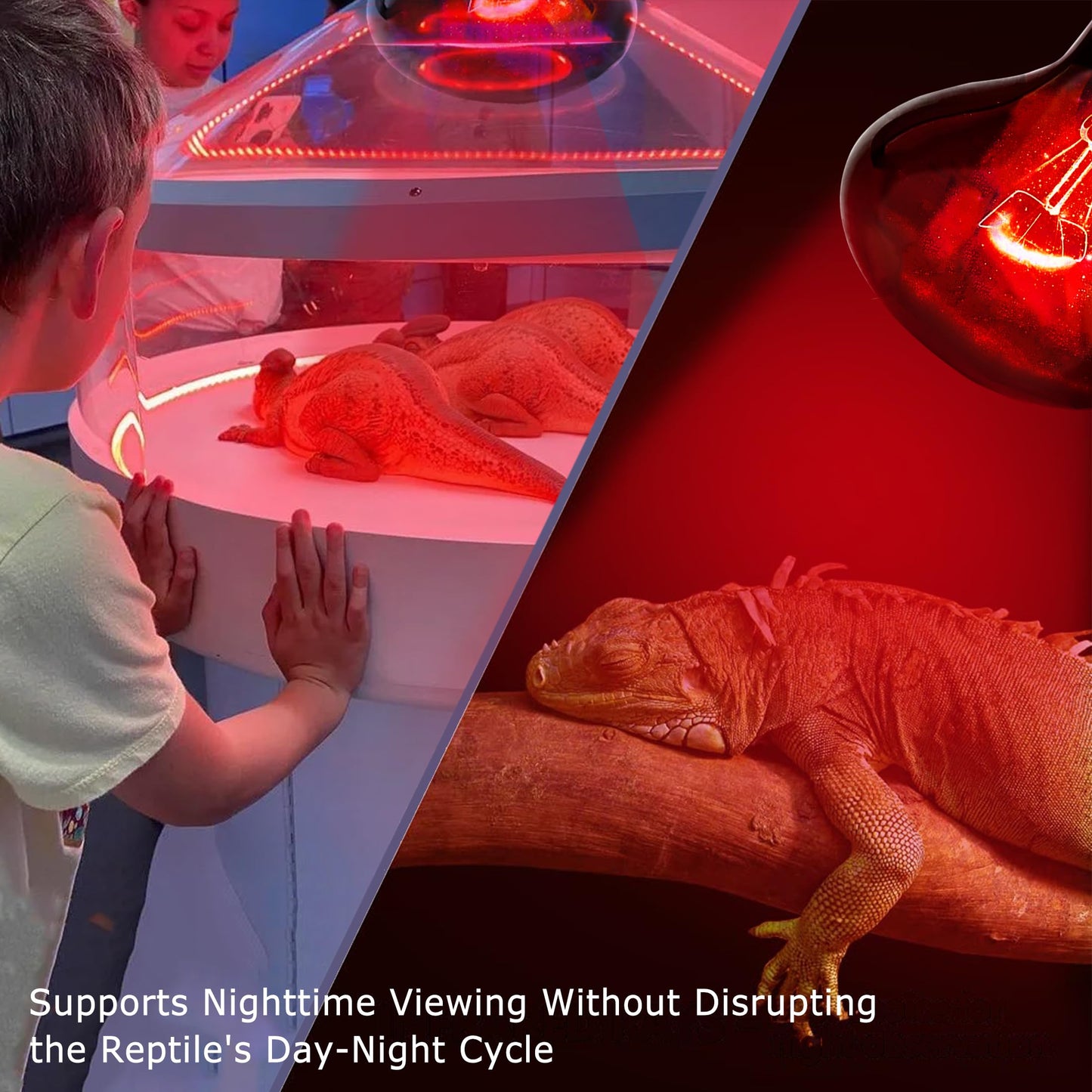 HARTOMPET 60W Infrared Red Heat Lamp for Reptiles, Basking Spot Bulb for Pet Lizards, Bearded Dragons, Chameleons & Snakes, Red Heat Emitter Light for Chickens Coop and Brooder Use, E26|2 Pack