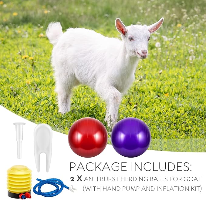 Sotiff 2 Pcs Herding Goat Ball Large PVC Exercise Training Ball with Inflator Pump for Dogs, Goats, Horses Outdoor Entertainment