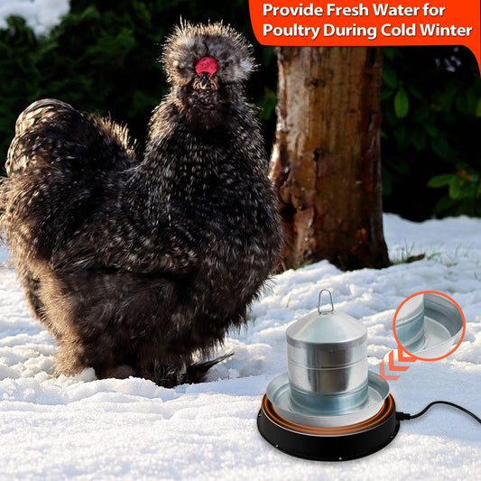 Eggluuz Chicken Water Heater for Winter, 110 Watt Chicken Drinker Heated Base 11 in Chicken Waterer Heater with Thermostat