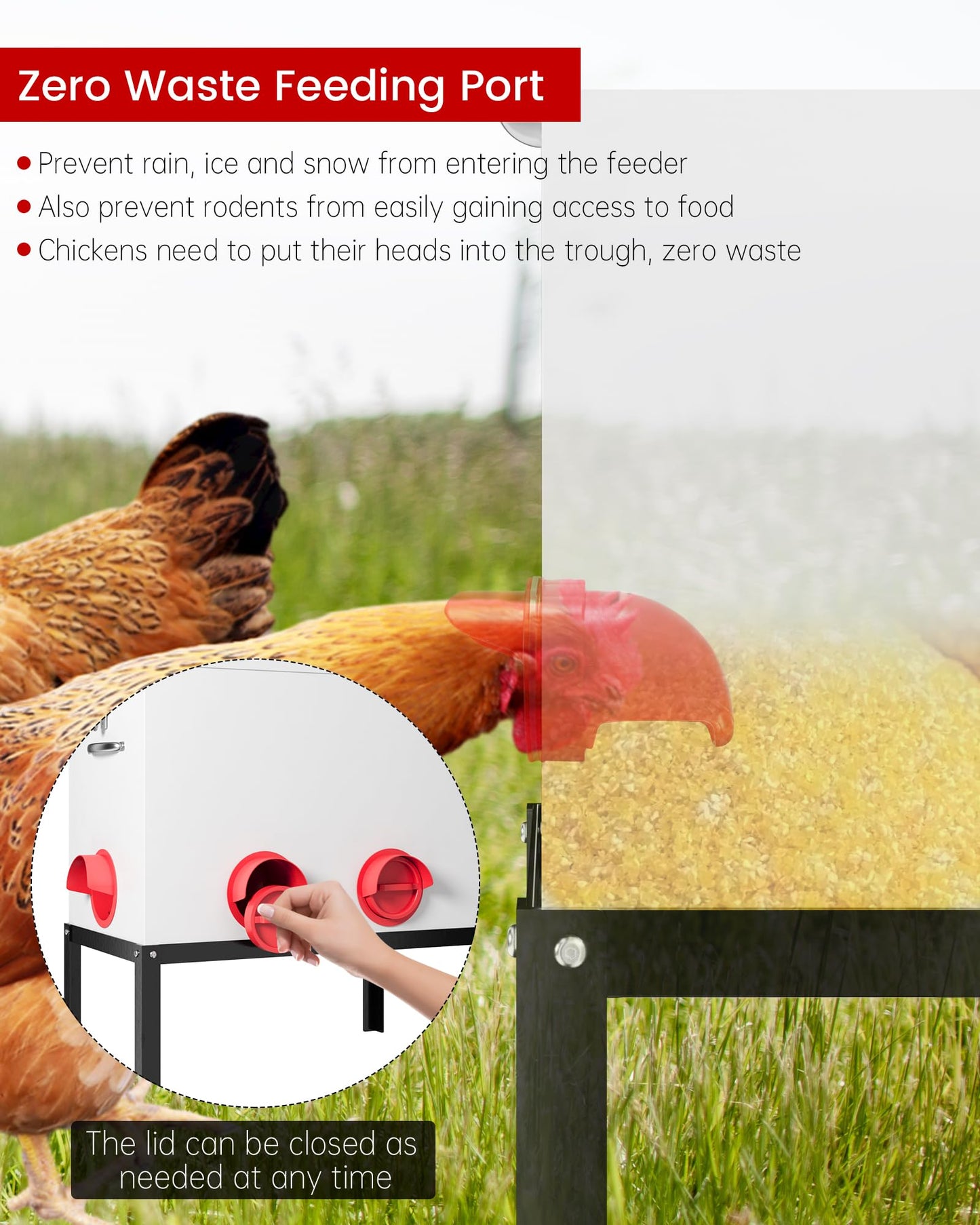 Pre-Installed Automatic Chicken Feeder, 40lb 6 Ports Rat Proof Chicken Feeder with Locking Lid and Legs, Galvanized No Waste Poultry Feeder for Hen Coop