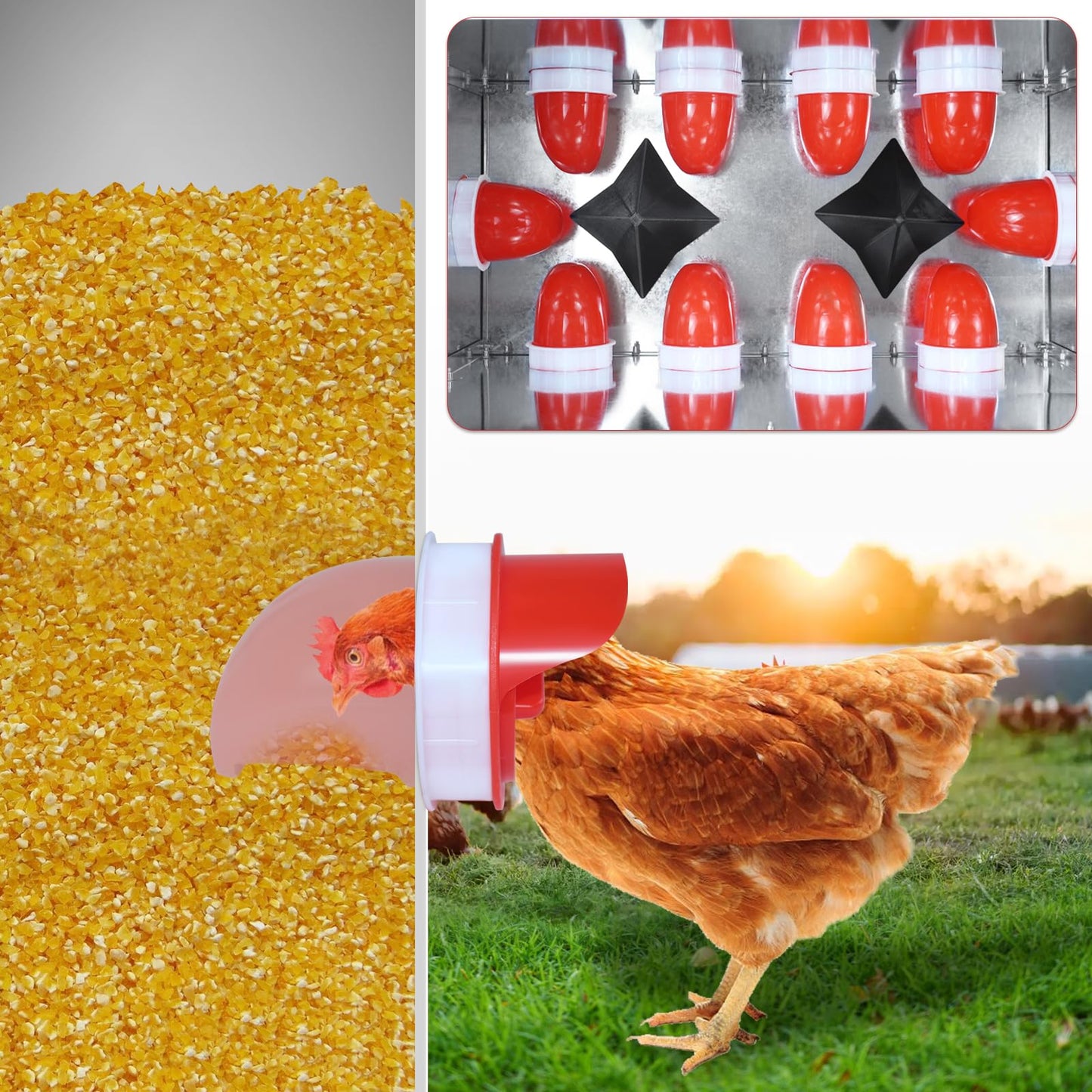 YXJSTO Metal Chicken Feeder 85 lbs Capacity, Galvanized Chicken Feeder with 10 Ports, Waterproof Automatic Poultry Feeder Suitable for Geese, Ducks, Turkeys, Quails