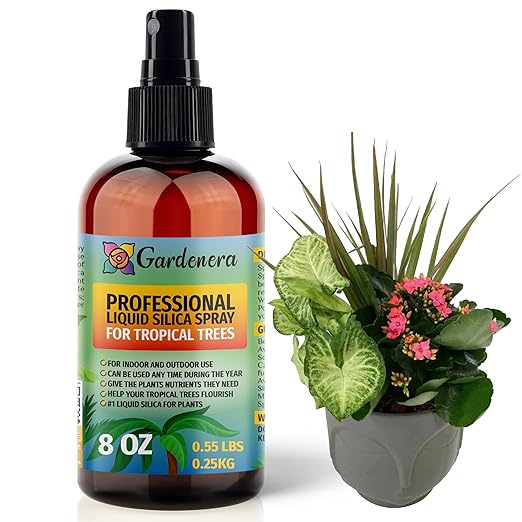 𝐒𝐔𝐏𝐄𝐑𝐈𝐎𝐑 Liquid Silica Boost Fertilizer and Supplement Spray for Tropical Trees – Pre-Mixed, Ready-to-Use Liquid Silicon Plant Superfood Mist for Indoor & Outdoor Plants – 8oz