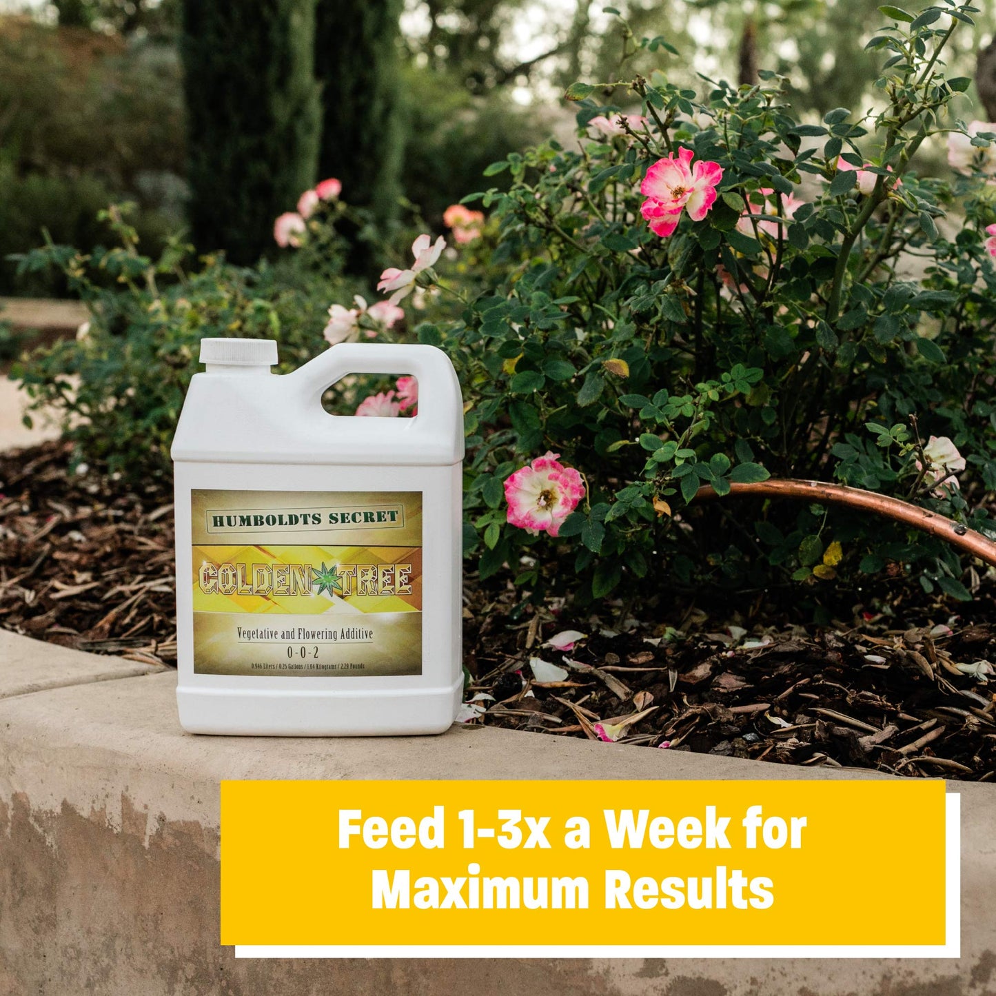 Humboldts Secret Golden Tree - All-in-One Concentrated Additive - Vegetables, Flowers, Fruits, & More (32 oz) w/A&B Liquid Hydroponics Fertilizer - Nutrients for Outdoor, Indoor Plants (1 Gallon Set)