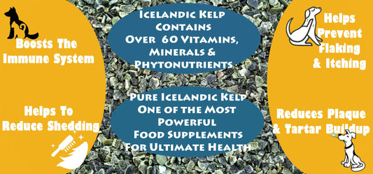 Wolf Creek Ranch Icelandic Kelp Meal - Loaded with Nutrients That Support Your Livestock Or Pet & A Natural Seaweed Fertilizer for Plants Icelandic Kelp Meal, 2lbs