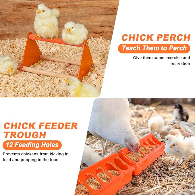 Plastic Baby Chicken Feeder and Waterer Set (White&Orange)