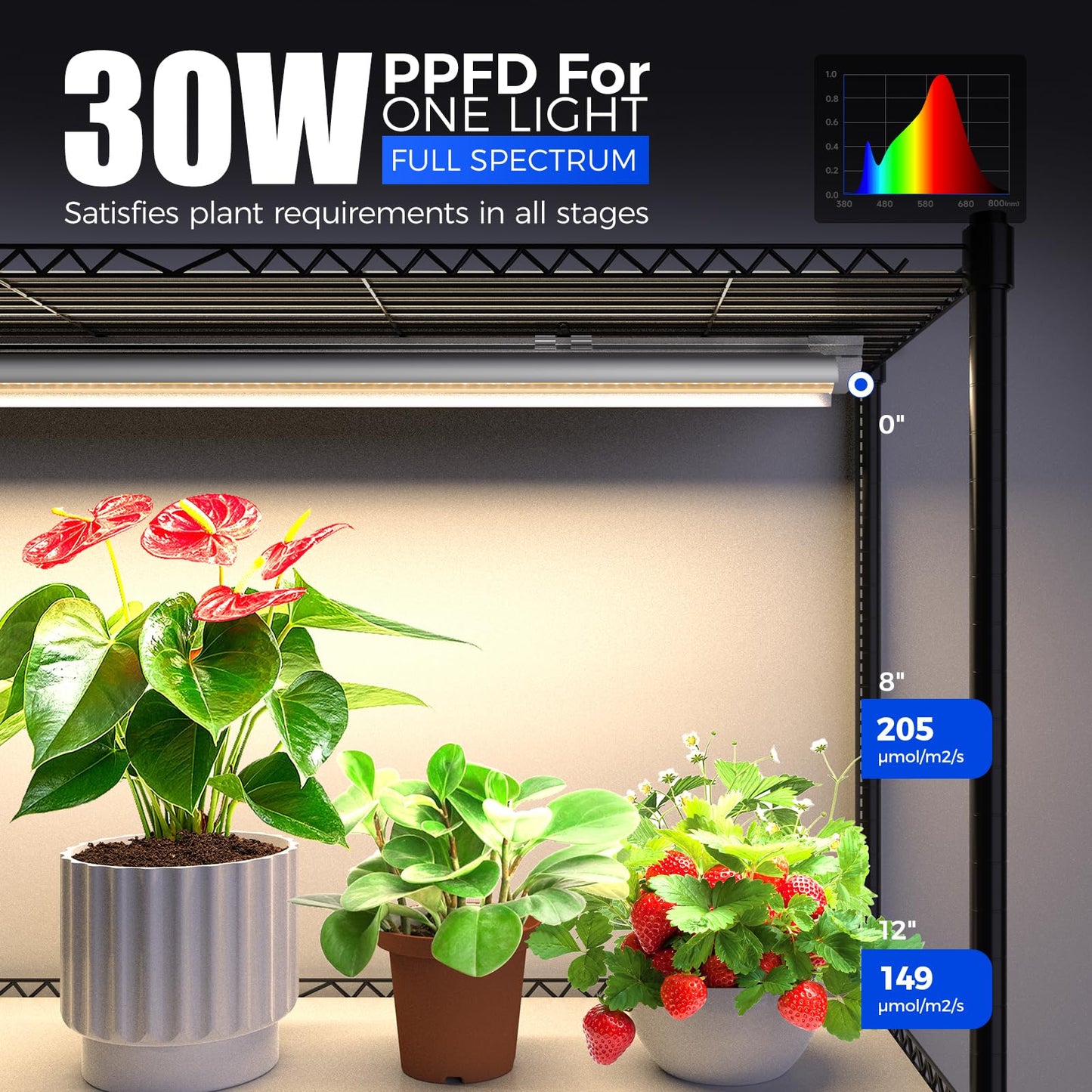 Barrina CX6 Plant Stand with Grow Lights, 3FT T8 30W(Per Light) Full Spectrum Yellow LED Plant Lights, Indoor Plant Shelf for Multiple Plants with On/Off Timer Socket, 6-Tier 35.4"x13.8"x70.9"