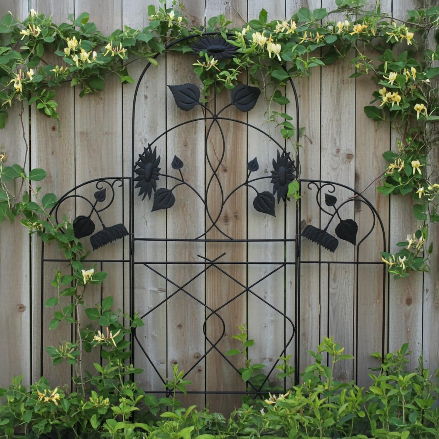 Sunflower Trellis