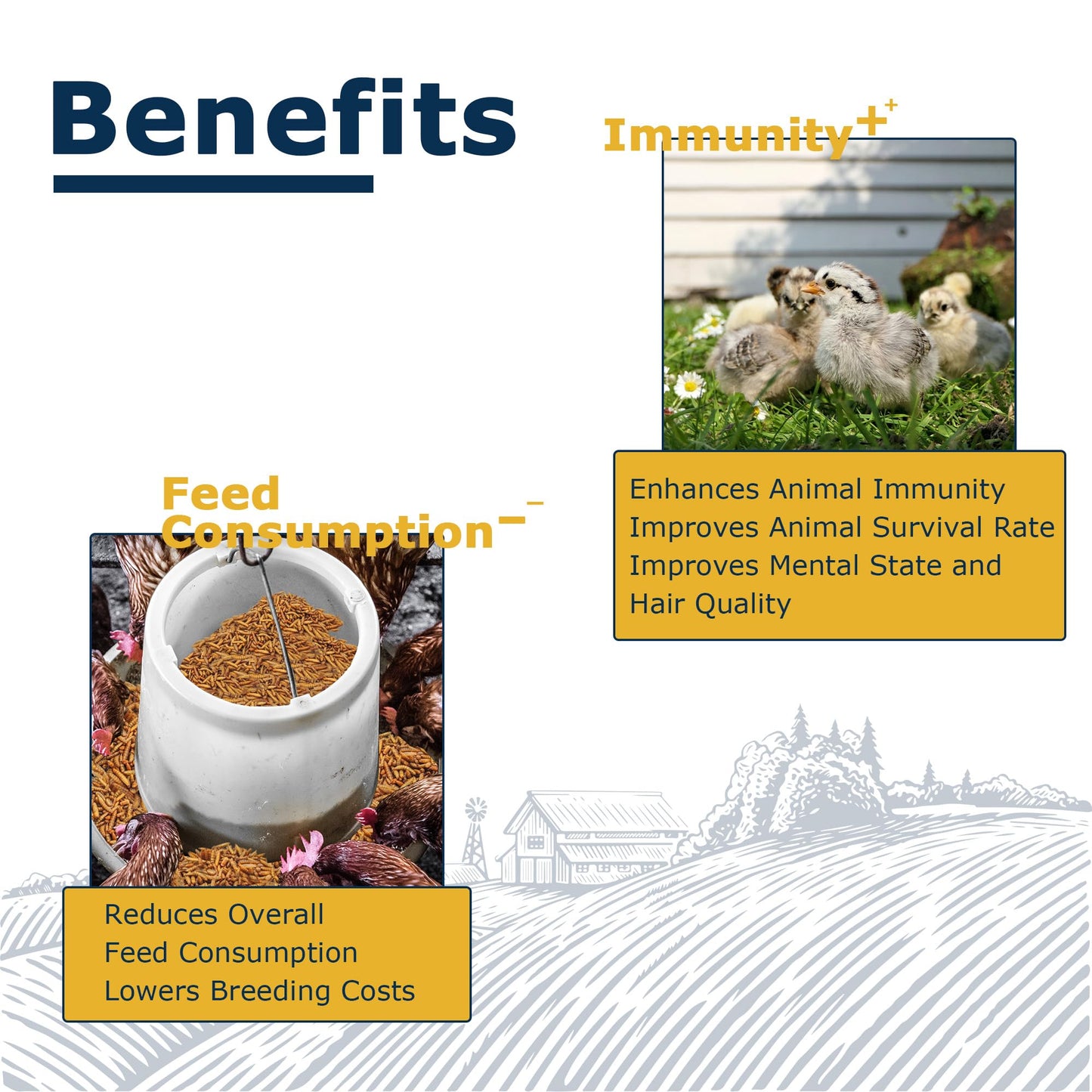 HARTOMPET Nutrient-Rich Chicken Feed - 5LB Dried Black Soldier Fly Larvae, 100% Natural, 85X More Calcium Than Mealworms, Ideal for Molting & Laying Hens, Ducks, and Wild Birds, Reptiles and Hedgehogs