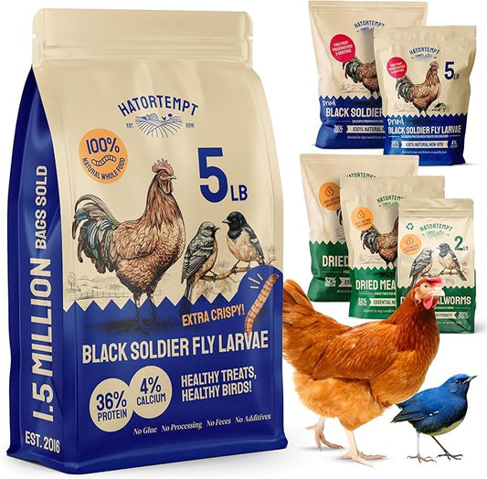 Black Soldier Fly Larvae for Chickens - 5 lb Pack of 1 - Protein Boost & High Protein Chicken Feed - 4% Calcium Treats & Reptile Calcium - Non-GMO Organic Grubs & Bird Feed