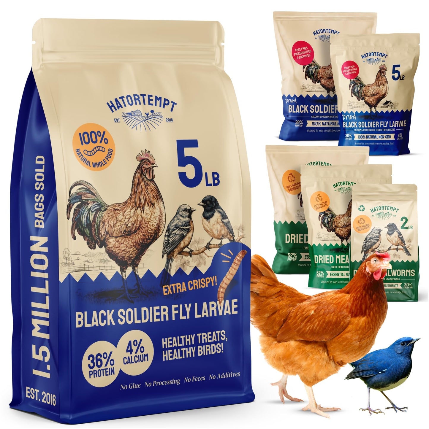 Hatortempt Black Soldier Fly Larvae for Chickens - 5 lb Pack of 1 - Protein Boost & High Protein Chicken Feed - 4% Calcium Treats & Reptile Calcium - Non-GMO Organic Grubs & Bird Feed