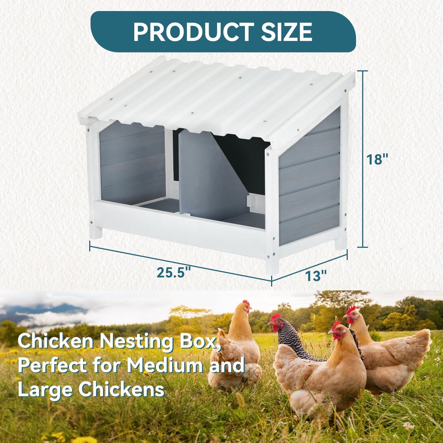 PETSFIT 2 Holes Chicken Nesting Box-All Weather PVC Roof, Natural Wood Design with Privacy Back Panel for Hens-Wall Mounted or Floor Use in Coops, Farms, Backyards,Easy to Assemble and Clean