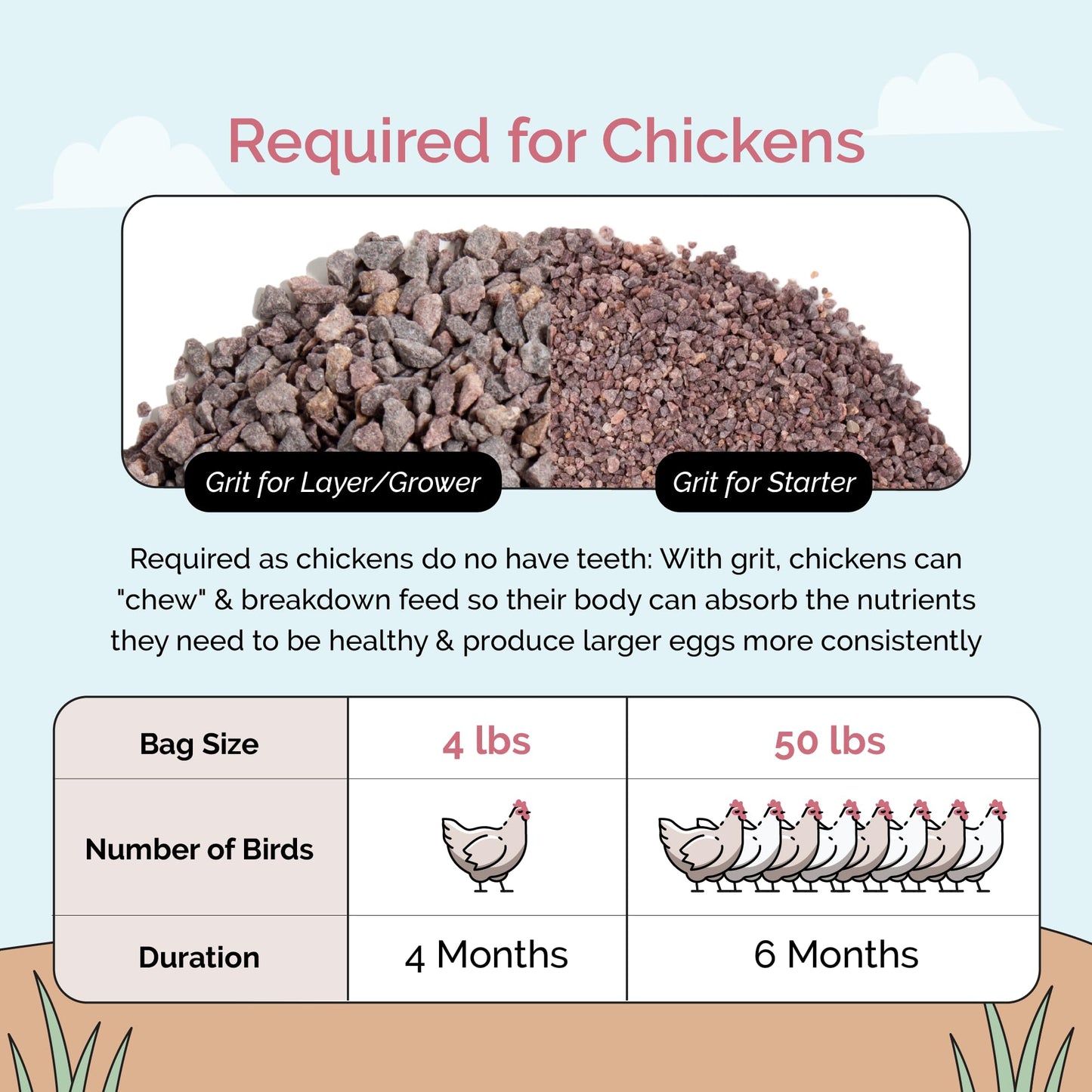 Mile Four Chicken Grit for Layer & Grower Chickens Age 8-20+ Weeks - 100% Natural Mineral Chicken Grit Quartzite, Poultry Grit, USA Mined, 4 lbs