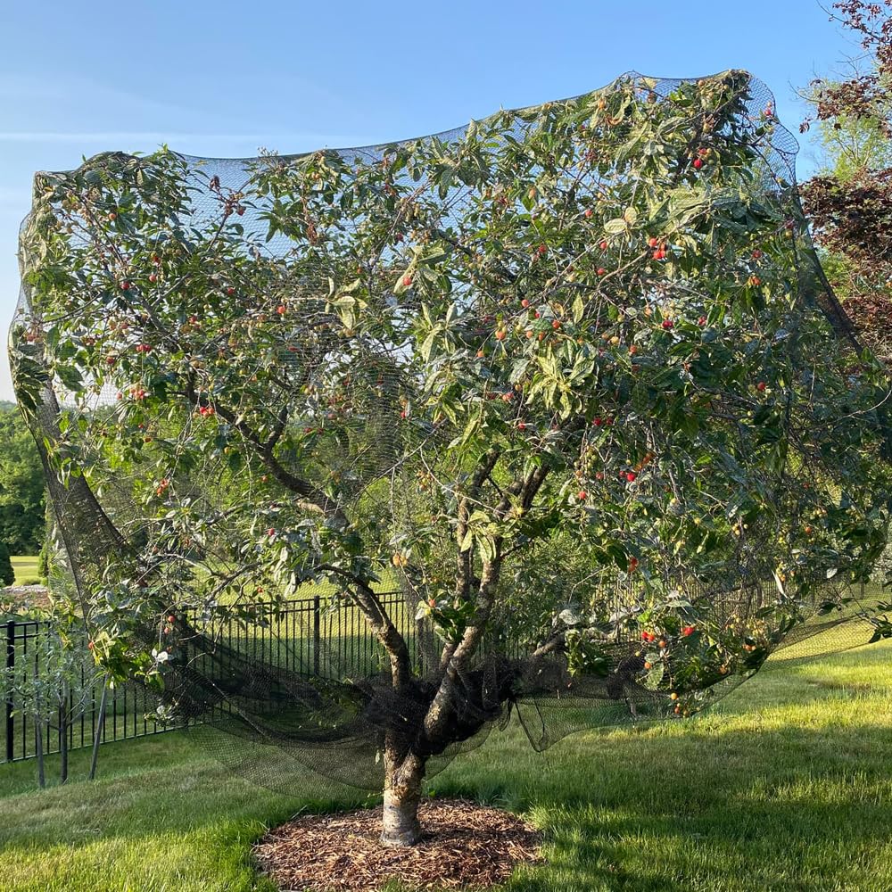 Vocray Bird Netting for Chicken Coop 50x50 Ft, 1" Mesh, Strong Woven Poultry Netting Roof Cover for Chicken Run, Heavy Duty Bird Net for Fruit Trees, Blueberry, Vegetables, Garden Protection