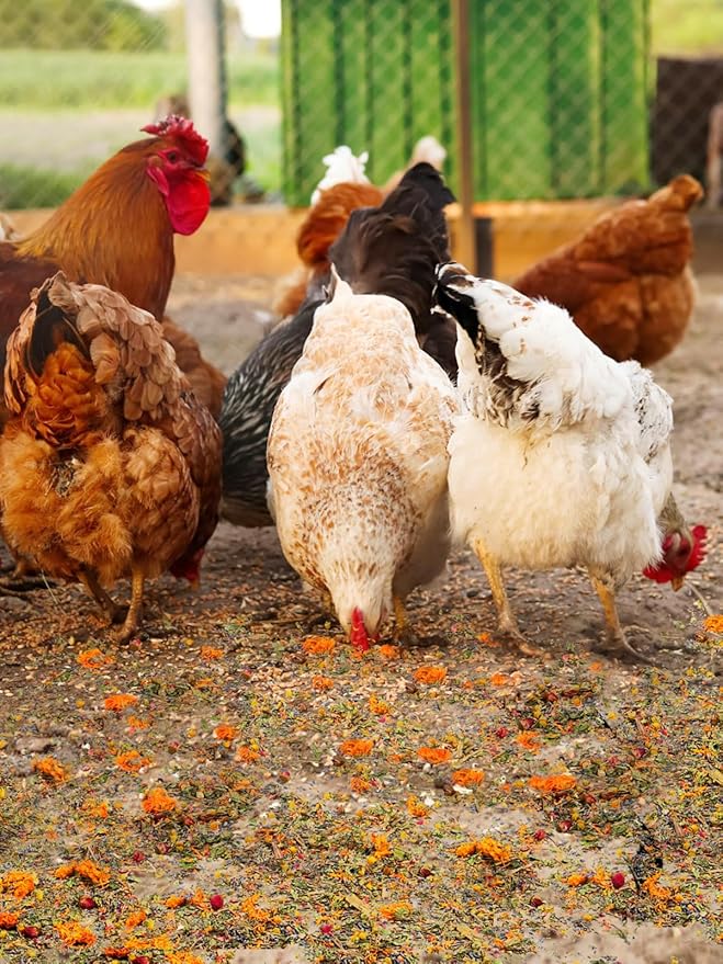 21 Oz Chicken Nesting Herbs - Natural Nesting Box Feed Herbs in 6 Dried Flower & Herbs for Freshening Bedding Chicken Coop Create Comfortable Environment