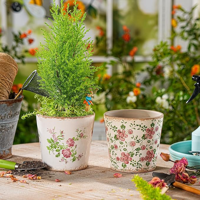 Sungmor Vintage Ceramic Plant Pots, Set of 2 Pretty Ice Cracked Glaze Ceramic Flower Pots, 5.5in. Herb Planters with Drainage Hole, Tuscan Planters for Indoor Outdoor Plants, Home Garden Decor Pot