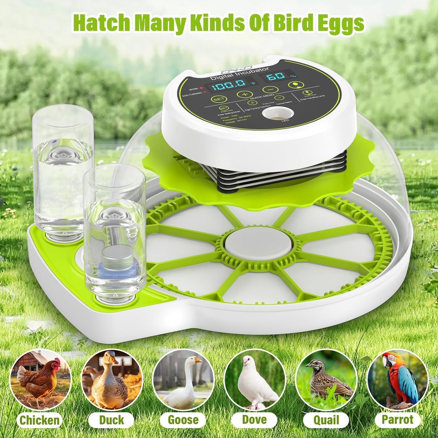 Egg Incubator with Automatic Egg Turning and Humidity Control, Chicken Incubators for Hatching Eggs, Built-in Egg Candle, Holds 8 Eggs, Suitable for Hatching Chickens, Quails, Ducks, Parrots, Geese