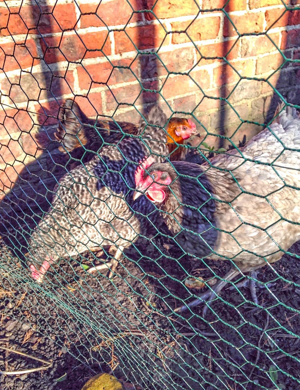 TOYPOPOR Chicken Wire, 16''x 190''/16ft Mesh Roll for Floral Arrangements, Anti-Rust PVC Coated Garden Netting, Rabbit Animal Fence with Cutting Plier, Gloves and Ties for DYI Crafts, Poultry, Garden