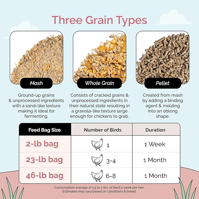 Organic Chicken Feed – Layer Whole Grain, Non-GMO, USA Grown, 16% Protein, Corn-Free, Soy-Free, Non-Medicated Feed for Chickens, 23 lbs