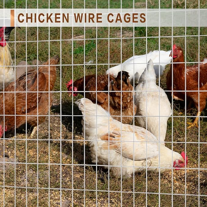 Tongmo 3 ft x 100 ft Galvanized Welded Wire Fence, 16GA Garden Chicken Wire Fence Roll, Mesh Size 2" x 4"Hardware Cloth, Ideal for Yard Protection and Poultry Netting