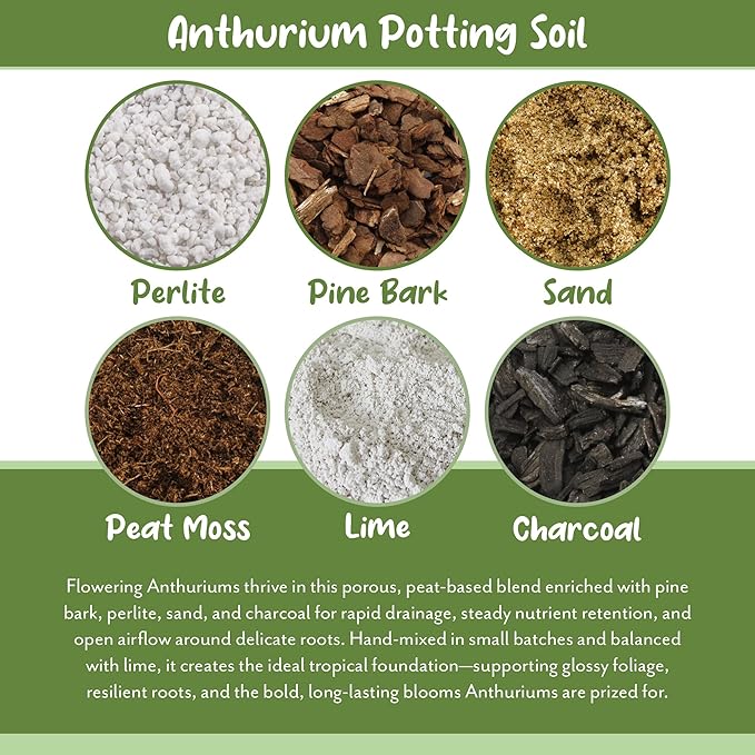Anthurium Plant Potting Soil Mix (4 Quarts), Indoor Houseplant Custom Blend for Flowering Anthuriums