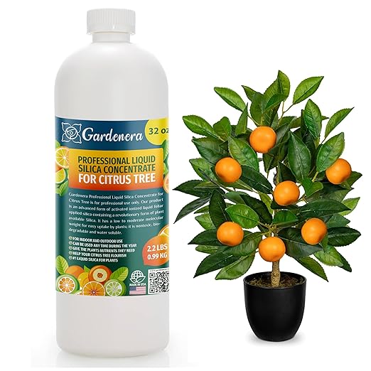 𝐏𝐑𝐎𝐅𝐄𝐒𝐒𝐈𝐎𝐍𝐀𝐋 Liquid Silica Plant Supplement - 32oz - Citrus Trees Liquid Silica Boost Fertilizer - Stronger Stems & Healthy Leaves for Indoor & Outdoor Citrus Plants (Makes 180 Gallons)