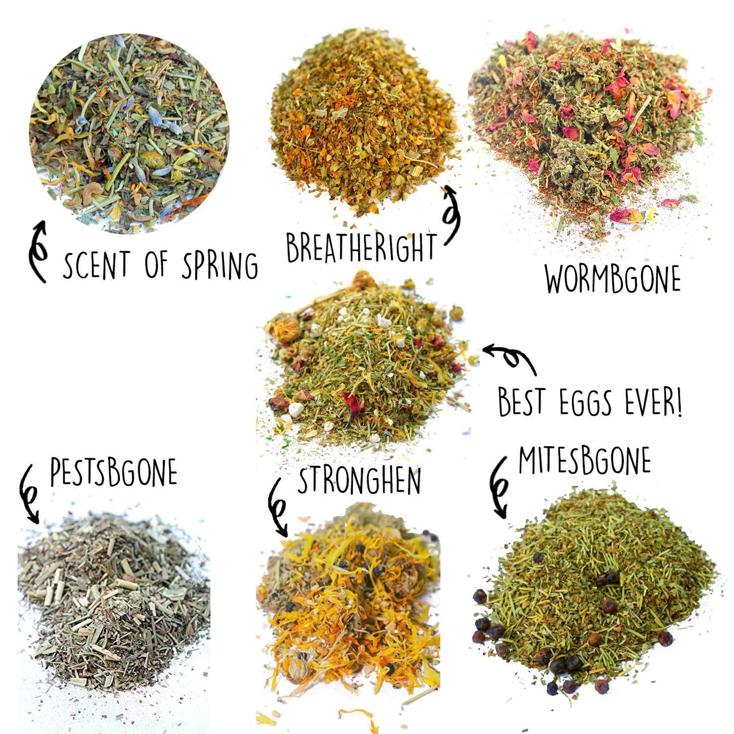 Pampered Chicken Mama Backyard Chicken Nesting Herb Starter Bundle - 7 Different Nesting Herb Blends! (3 lbs Total)